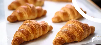 بهبوددهنده سافتر کروسان