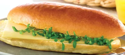 بهبوددهنده تیگریس