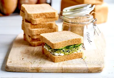 ساپوره نوا تمپو