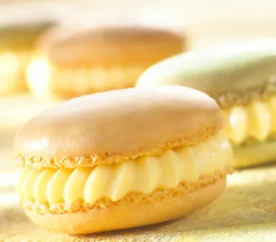 کرمفیل کلاسیک موز