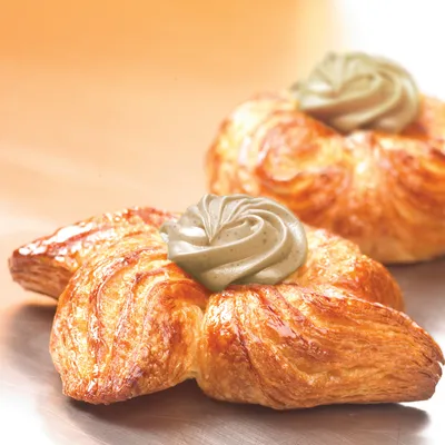 کرمفیل شیردارچین