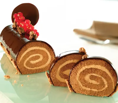 تگرال اسپونج کاکائو