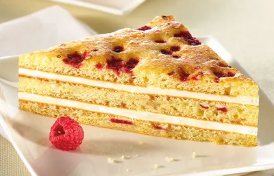 تگرال ساتین مولتی گرین